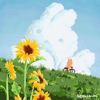 sunflower fields