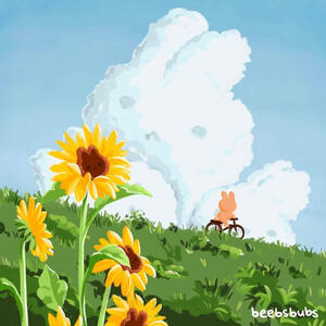 sunflower fields sunflower fields