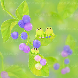 blueberry frogs blueberry frogs