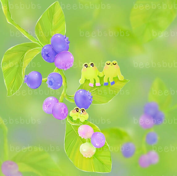 blueberry frogs blueberry frogs